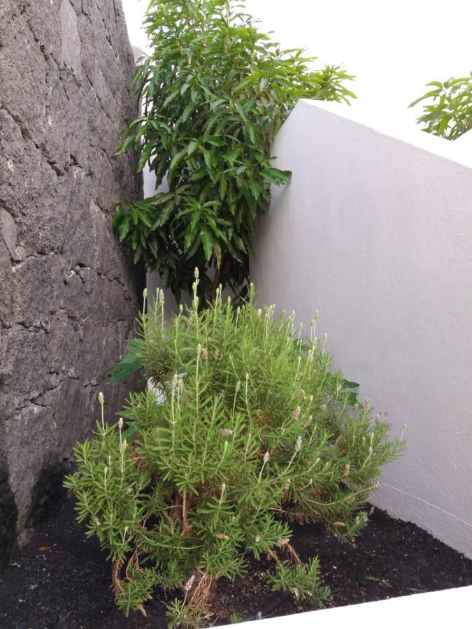 Villa Lanzarote Puerto Calero Εξωτερικό φωτογραφία